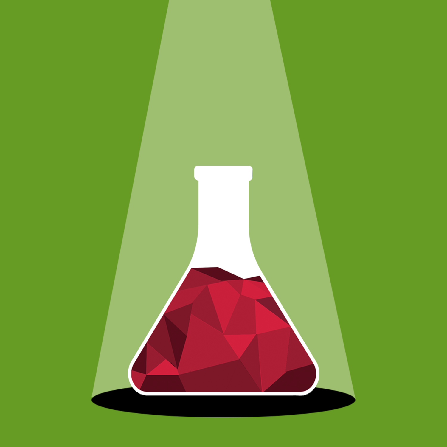 Young Scientist Spotlight 20: Dr. Roshmi Sarma