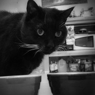  Samantha Ancona Esselmann